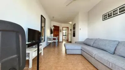 Apartment on Avenida de Lucio Díaz Flores Feo photo 5