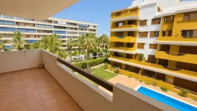 Pis – Torrevieja - Vista 5