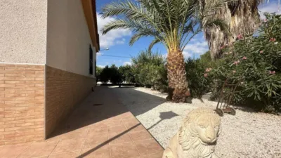 Rustic house in Crevillent photo 45
