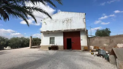 Rustic house in Crevillent photo 47