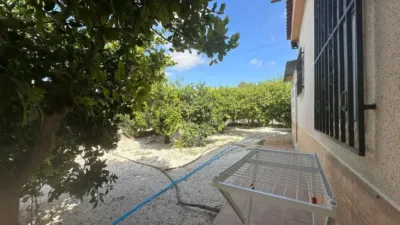 Rustic house in Crevillent photo 33