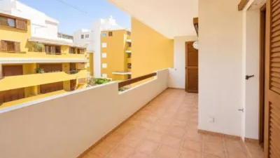 Pis – Torrevieja - Més