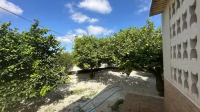 Rustic house in Crevillent photo 44