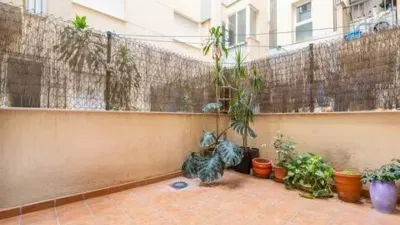 Apartment on Calle Merida S-N photo 36