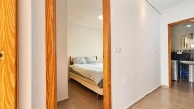 House in Gran Alacant photo 15