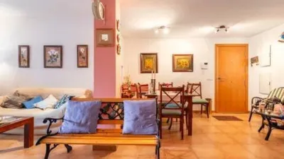 Apartment on Calle Merida S-N photo 20