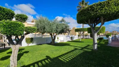 House in Gran Alacant photo 39
