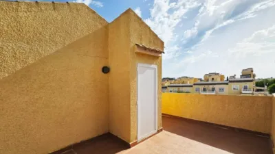 House in Gran Alacant photo 24