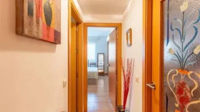 Apartment on Calle Merida S-N photo 43