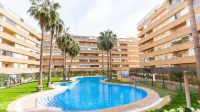 Apartment on Calle Merida S-N photo 3