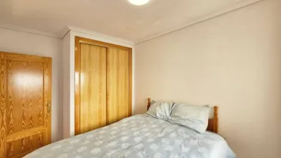 House in Gran Alacant photo 17