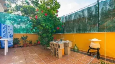 Apartment on Calle Merida S-N photo 13