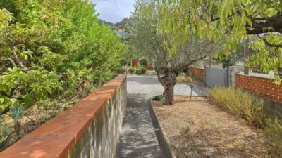 House in Mas Mates-Boscà-Mas Fumats photo 81