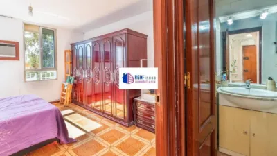 Apartment in San Pablo photo 12