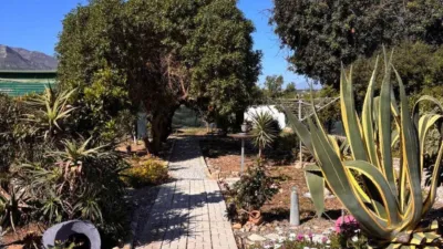 House in Pinos de Alhaurín photo 15