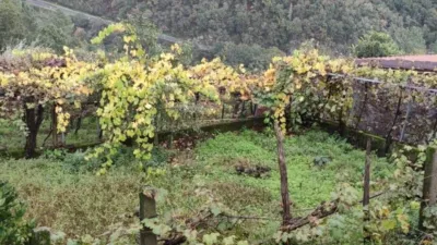 Rustic house in A Recheda photo 19