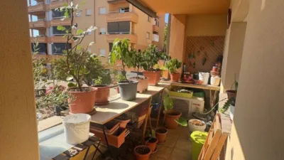 Apartment in Esparreguera photo 3
