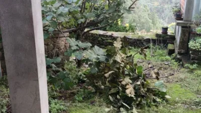 Rustic house in A Recheda photo 16