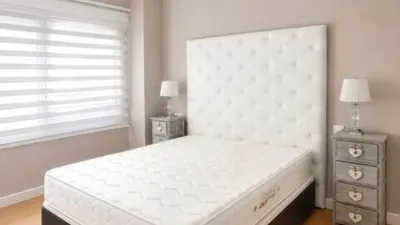 Apartment on Alcalde Felipe Mallol photo 56