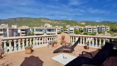 Penthouse in Palmanova-Son Caliu photo 17