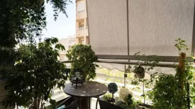Pis – Torrevieja - Vista 2