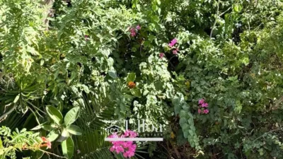 House in Cabo de la Huerta photo 41