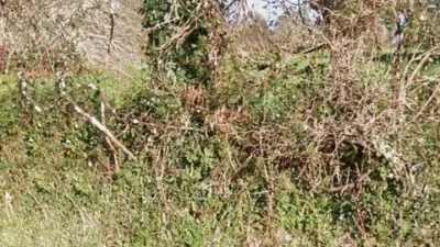 Terreno en venta en Barrio (Vilarmaior) - Vista 3