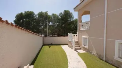 Chalet in Formentera del Segura photo 2