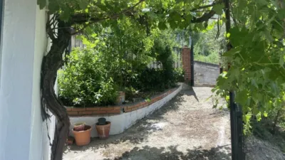 Rustic house in Fuente Álamo photo 3