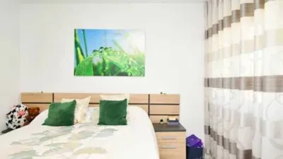 Apartment on Juan de Herrera Street photo 10