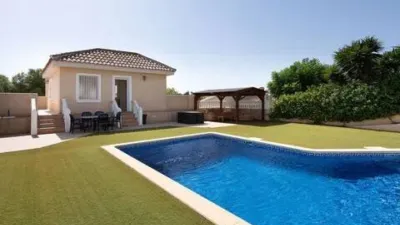 Chalet in Formentera del Segura photo 50