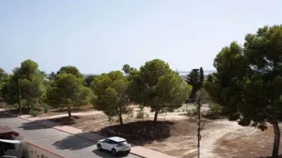 Chalet in Formentera del Segura photo 40