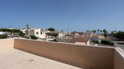 Chalet in Formentera del Segura photo 38