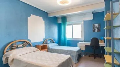 Apartment in San Miguel photo 24