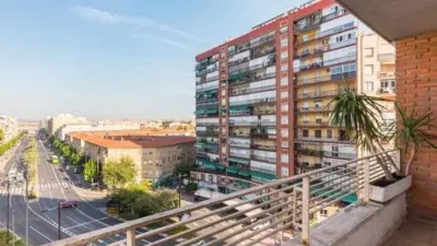 Apartment in San Miguel photo 3
