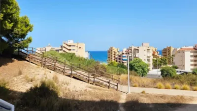 Apartment in Los Arenales del Sol photo 13