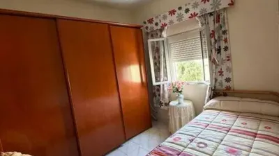 Apartment in Tiro de Línea photo 19