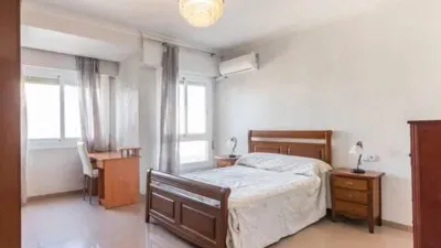 Apartment in San Miguel photo 33