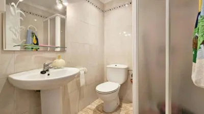 Apartment in Los Arenales del Sol photo 20