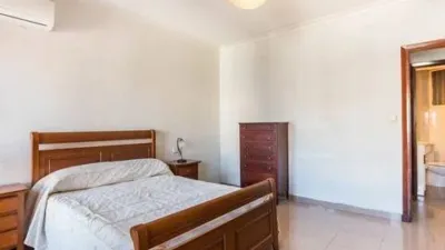 Apartment in San Miguel photo 30