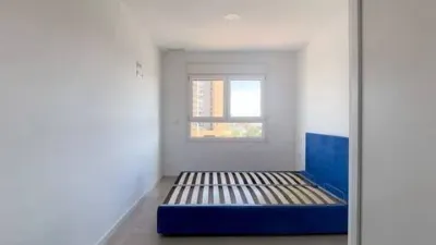 Apartment in El Campello Pueblo photo 23