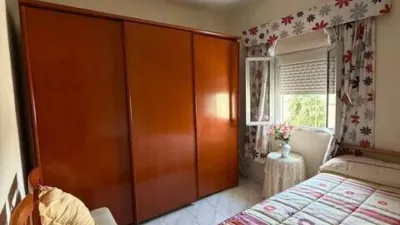 Apartment in Tiro de Línea photo 6
