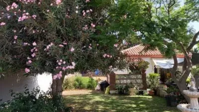 Chalet en Pinar de los Franceses-El Marquesado photo 3