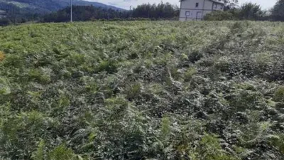 Terreno en venta en Calle Paiosaco No Number - Vista 2