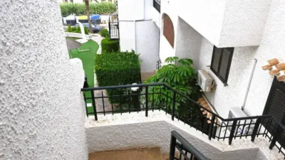 Apartment in Cabo Roig-La Zenia-La Regia photo 6