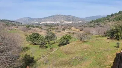 Rustic house in Castellnovo photo 21