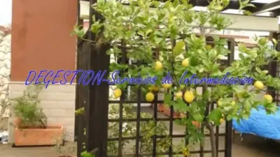 Duplex penthouse in Linares photo 22