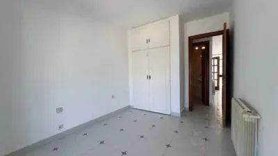 Apartment in La Pineda photo 14