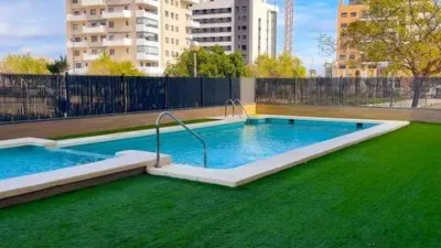 Apartment in El Campello Pueblo photo 48