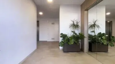 Apartment in El Campello Pueblo photo 40